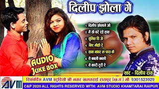 Dilip ray | Cg Song | Dilip Jhola ge | New Chhattisgarhi Geet | HD 2019 | AVM STUDIO RAIPUR
