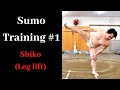  sumo training 1   shiko leg lift