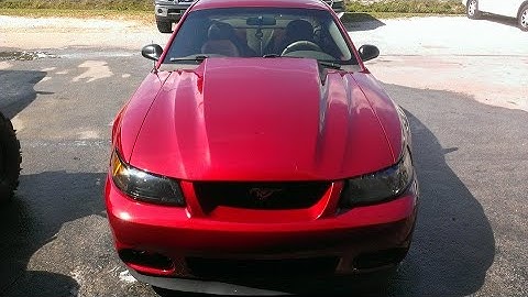 4.6L 3V Swap New Edge Ford Mustang GT