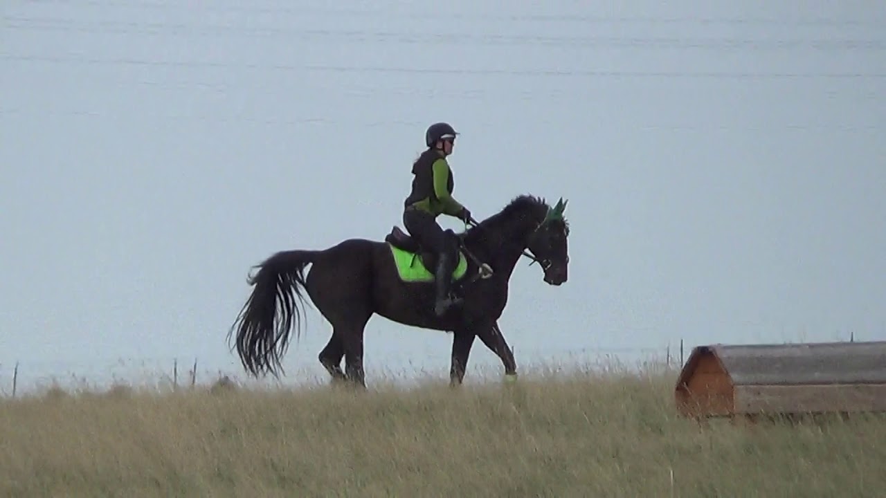 camera iphone 8 plus apk Arrowhead Spring Eventing Clinic 2015 #8