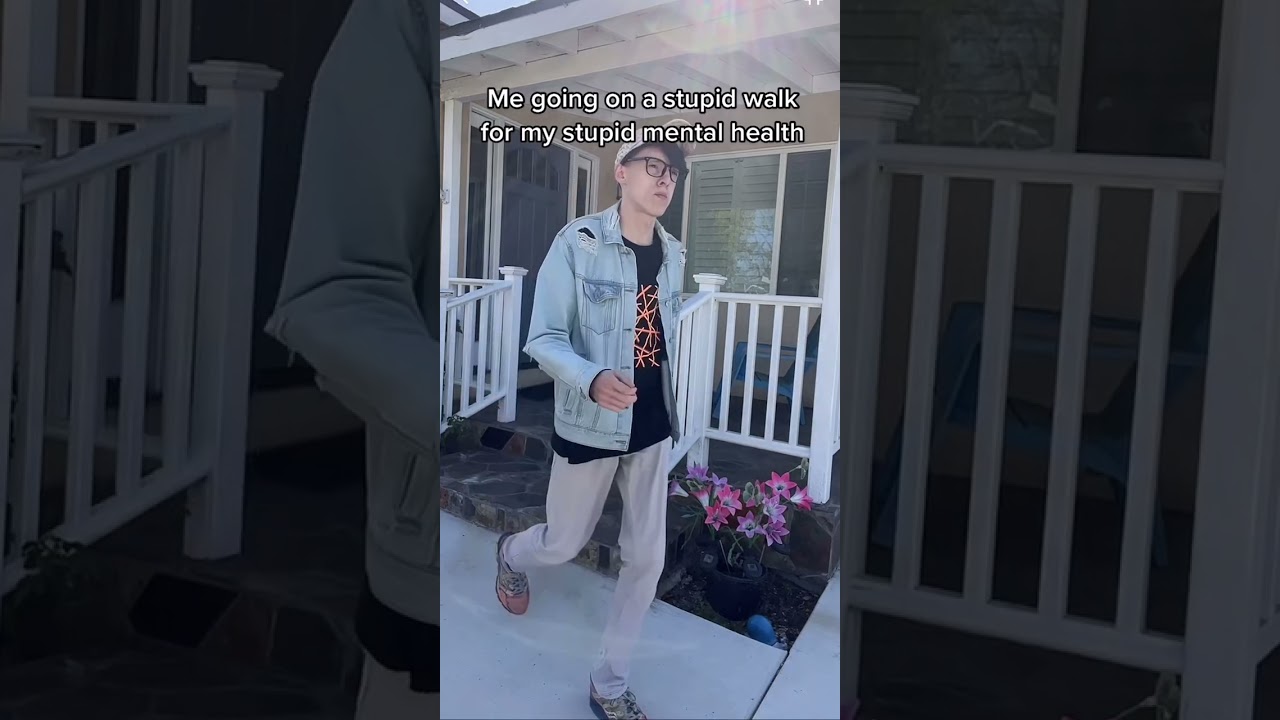 The Stupid Mental Health Walk 