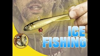 Learning to Ice Fish in Canada 2018 - New Freedom Ice Fishing Lure