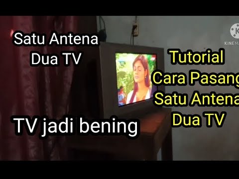 Video: Cara Menyambungkan Dua TV Ke Satu Antena