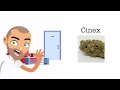 Cinex strain review