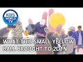 What this small yellow ball brought to 2D1N [2 Days & 1 Night Season 4/ENG/2020.07.19]