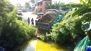 Download Lagu The Best Working By Bulldozer and Trucks Start to Pushing Rock to turn down the forest flood area MP3 Download Lagu The Best Working By Bulldozer and Trucks Start to Pushing Rock to turn down the forest flood area MP3
