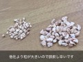 コーンリター　はりねずみんみん共和国