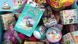 Blind Bag Ship Collectibles: Squishmallows, Snoopy Re-ment, Pikmi Pops Mystery Bags & Boxes
