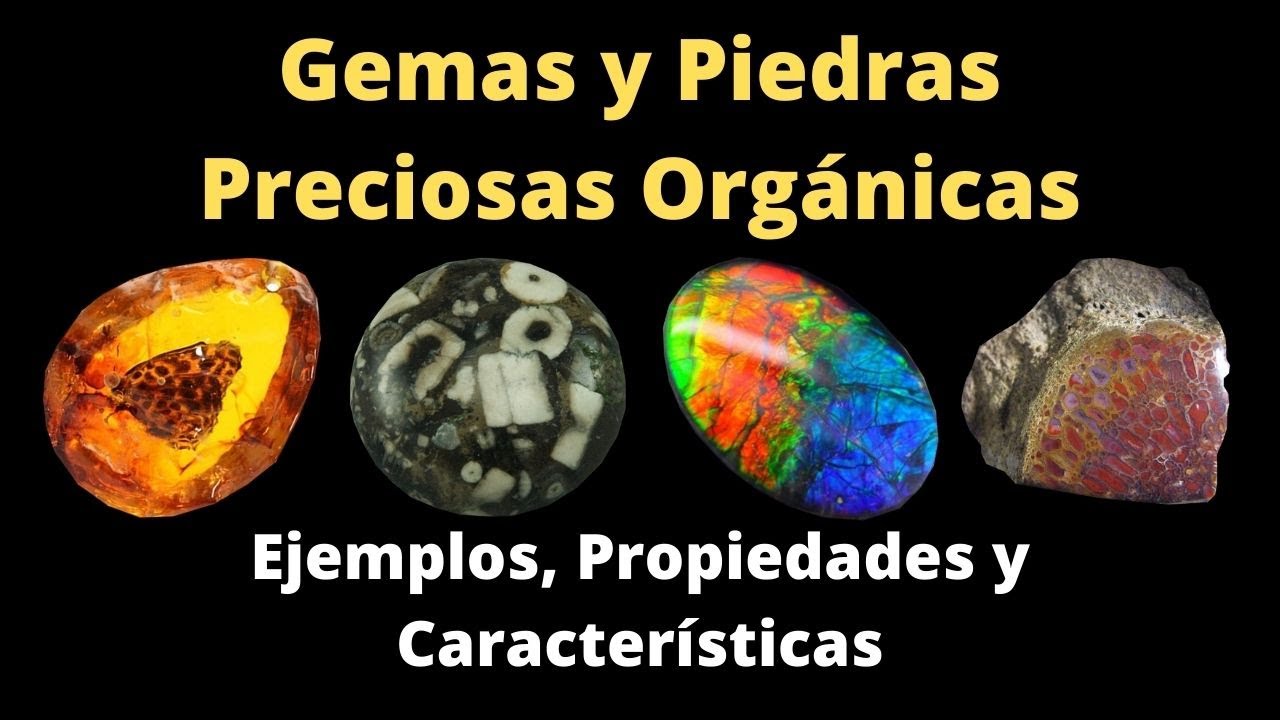 💎 Gemas y Piedras Preciosas Orgánicas | Ejemplos, Propiedades y Características