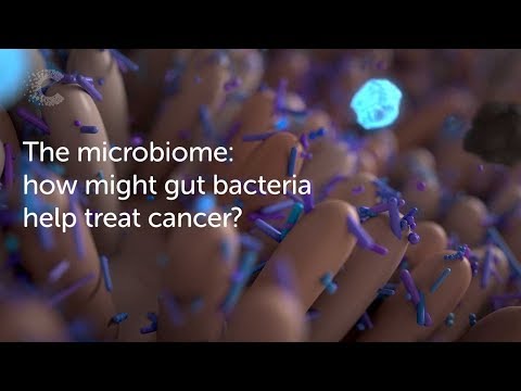 Video: Microbiota - Dekorasjon Av Stedet