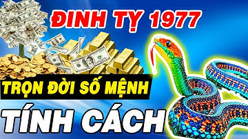 TIẾT LỘ Bí Mật CHẤN ĐỘNG Về Trọn Đời Số Mệnh TÍNH CÁCH Tuổi Đinh Tỵ 1977