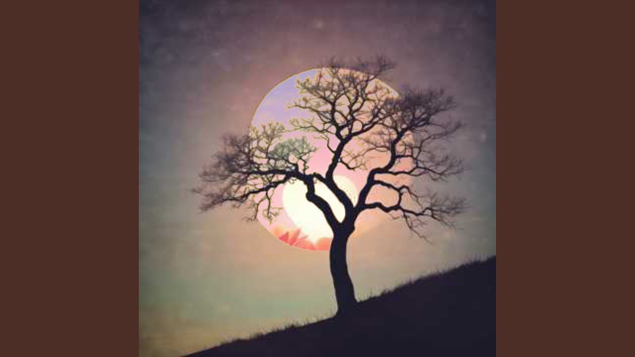 Shoot Straight to the Heart