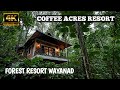 Wayanad resort with adventure activity  coffee acres resort  tree house  best resort wayanad