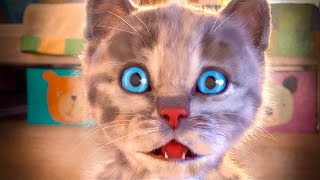 My Pet Little Kitten Adventure | Best Animal Educational Video For Toddlers| Cat House