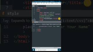Change The Colour Of The Placeholder In Html Input