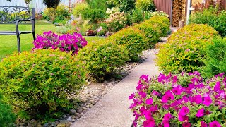 Августовский  сад в Калининградской области 🌿 Созданный любителями🌿Большой Обзор Сада в #garden