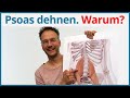 Psoas dehnen ✅ Yoga Übungen Hüfte | Yoga Anatomie