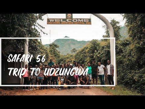 A trip to Udzungwa mountains national park