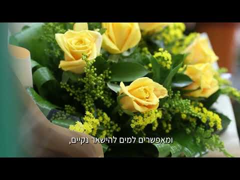 איך לשמור על פרחים באגרטל חנות פרחים רמת גן גבעתיים 