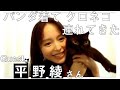 平野綾さんがクロネコを連れてきたので対談しました