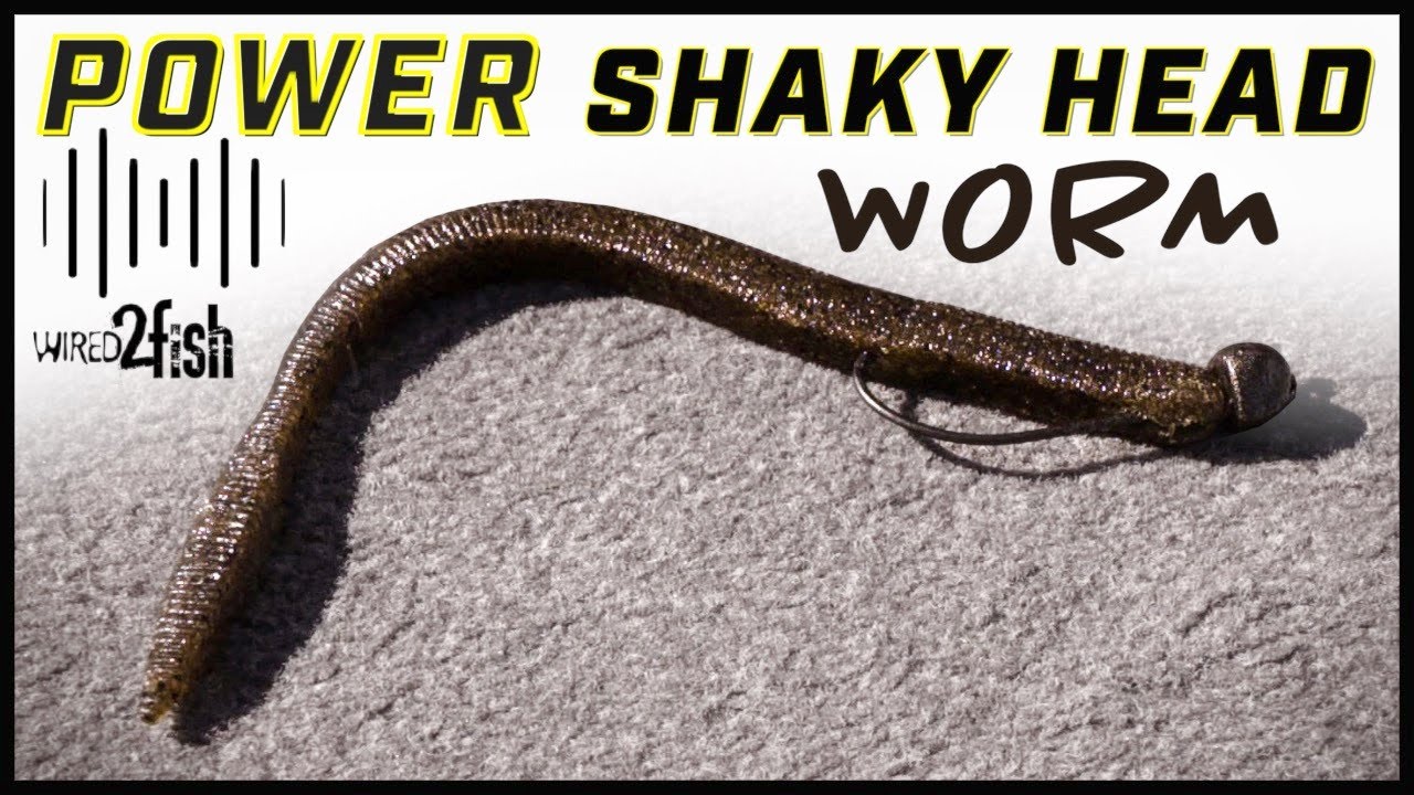 How to Power Fish a Shaky Head Worm for Bass 