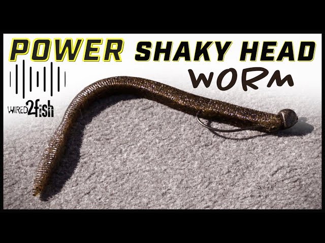 How to Power Fish a Shaky Head Worm for Bass 