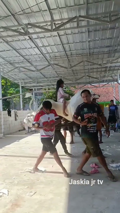 viral ‼️ edisi latihan atraksi singa dangdut hilal putra (Winda Dwi lestari group) #trending