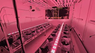 Next grow, Oil Tanker & Apple Fritter!