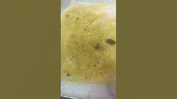 Butane Hash Oil extraction by 1st time apprentice in eSwatini on closed loop system BHO.