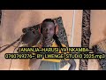 JANANJA HARUSI YA NKAMBA 0760769276 BY LWENGE STUDIO 2025 Mp3 