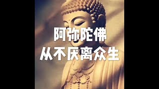 201709 阿弥陀佛从不厌离众生23562