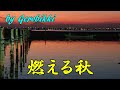 「燃える秋」/五木ひろし Japanese Taishogoto 大正琴  /Gerobikki