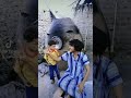 كلاب مصالح 