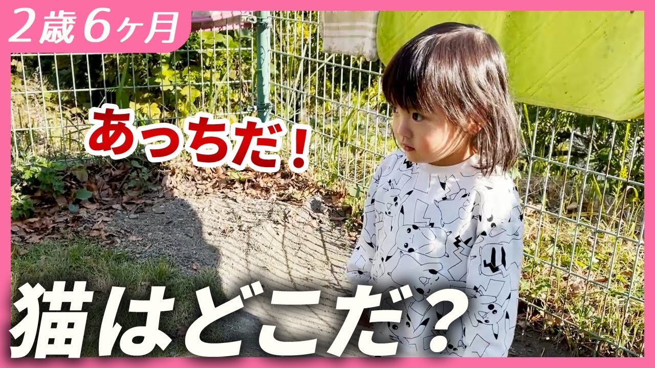 猫を探す2歳娘