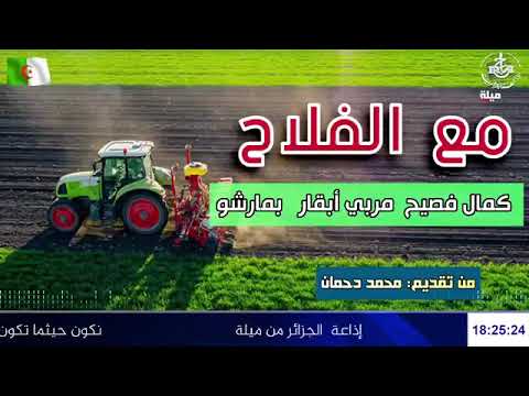 مع الفلاح تقديم محمد دحمان كمال فصيح مربي أبقار بمارشو الاحد 23 نوفمبر 2025
