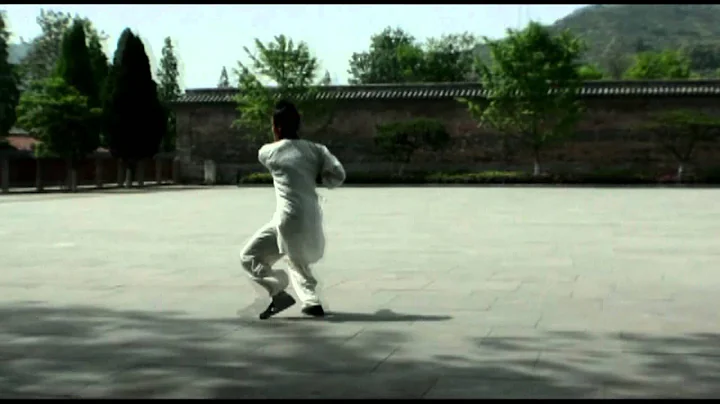 Wu Dang Xing Yi Quan--