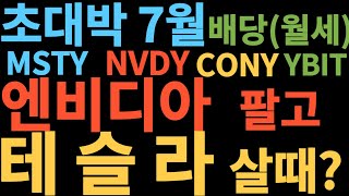 초대박 7월 배당(월세)MSTY/NVDY/CONY/YBIT/엔비디아 팔고 테슬라를 살때? #TSLA#TQQQ#SOXL#CONY#NVDY#MSTY#YBIT#