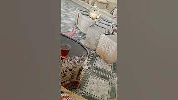 لا اطرح اصحابي ولا غارم الشاعر صالح الطاعسي اسطوره الشعر والنثر ذي خير الملاجم 
