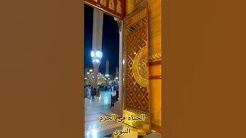 #أجمل تلاوات الشيخ الجليل سيد سعيد  استمع بخشوع #اسلاميات #راحة_نفسية #ارح_سمعك #اكسبلور #لايك