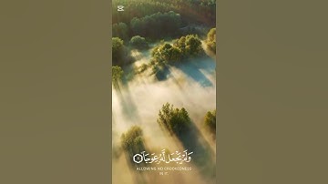 تلاوة خاشعة لسورة الكهف#قران_كريم#quran#راحة_نفسية#quotes