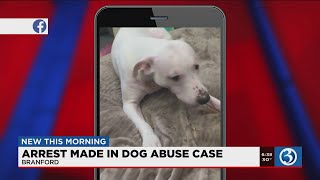 VIDEO: Abandoned dog gets forever home, suspect arrested