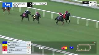 Gulfstream Park October 18, 2025 Race 12