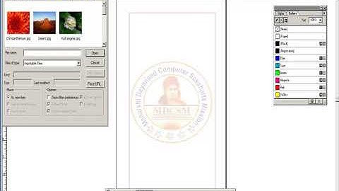 Page maker Importing text and picture