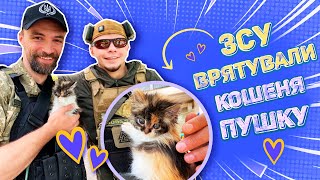 Військовий ЗСУ врятував кошеня Пушку на Донеччині