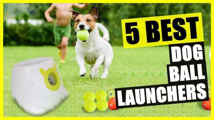 Dog Ball With Rope,dog Throwing Ball, Pet Exercise Game Toy, Dog Toy Balls,  Dog Ball Dog Training For Fetching, Catching, Throwing, Pulling