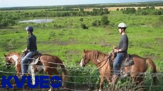 The Great Outdoors: Horseback Riding & BBQ | KVUE