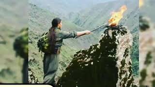 Koma Azad