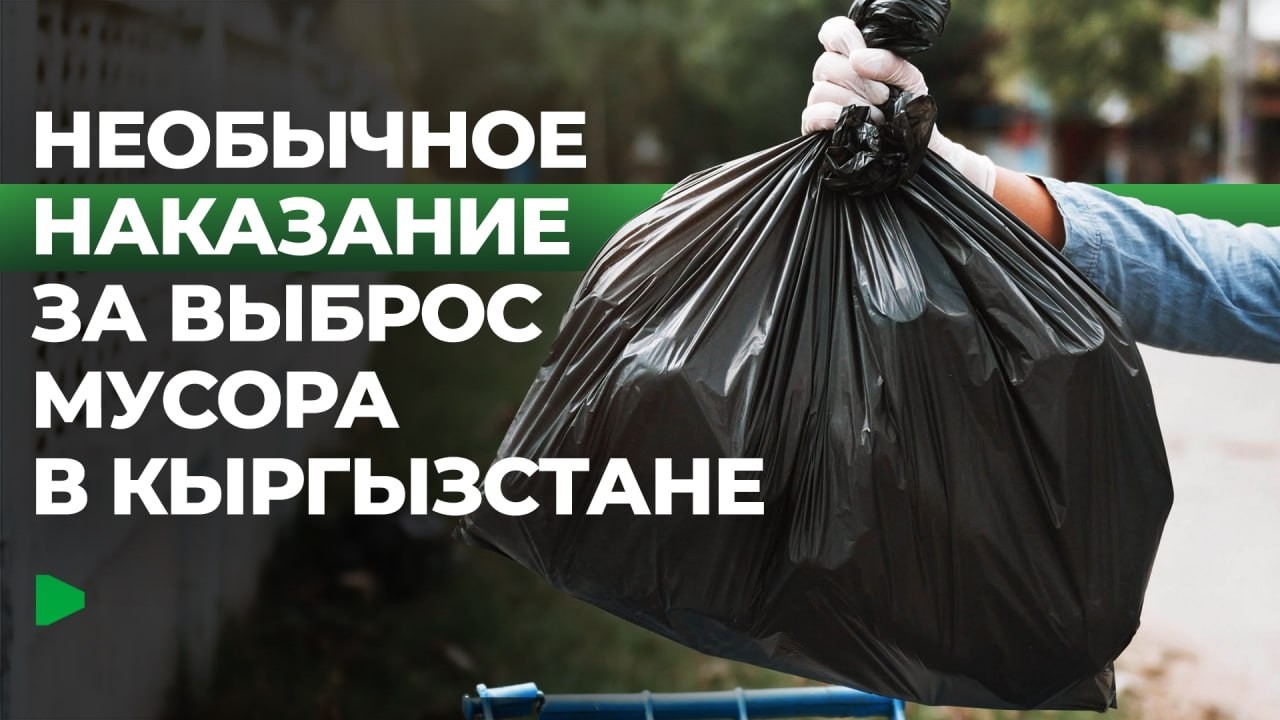 В Кыргызстане предлагают ужесточить наказание за выброс мусора | НОМАД ТВ