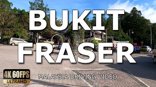 Memandu di sekitar Bukit Fraser | Driving aroung Fraser's Hill | 4K 60FPS | Malaysia Driving Video