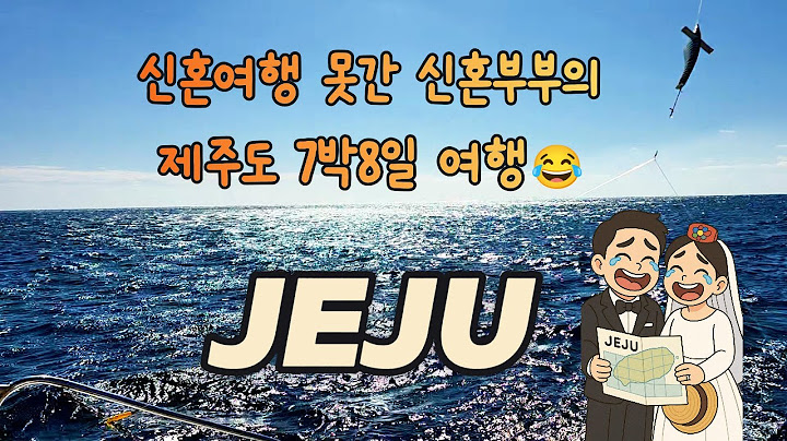 신혼여행 못 간 신혼부부의 7박 8일 제주 여행😂 | 감성숙소·우도·로컬맛집 렌트카 총정리I 7Nights 8Days in Jeju | Udo, Stays & Food Guide